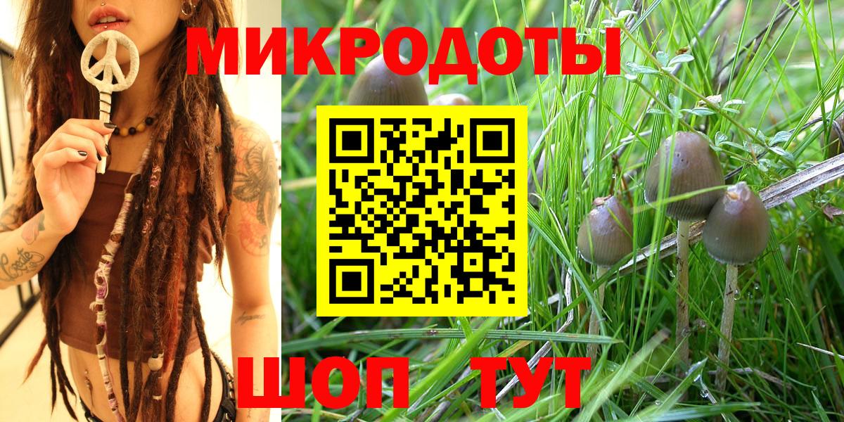Камень-на-Оби  Псилоцибиновые грибы ЛСД  Вход с VPN 